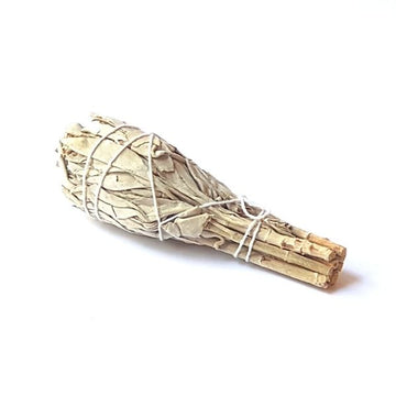 Sustainably sourced small white sage smudge stick on white background